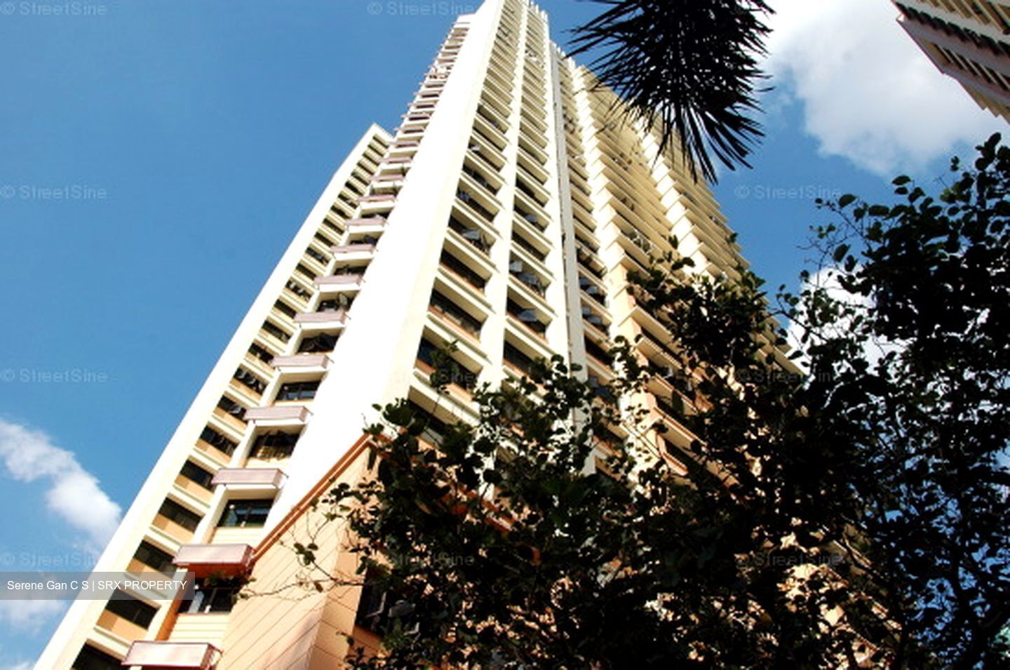 Blk 8 Cantonment Towers (Bukit Merah), HDB 3 Rooms #379691181